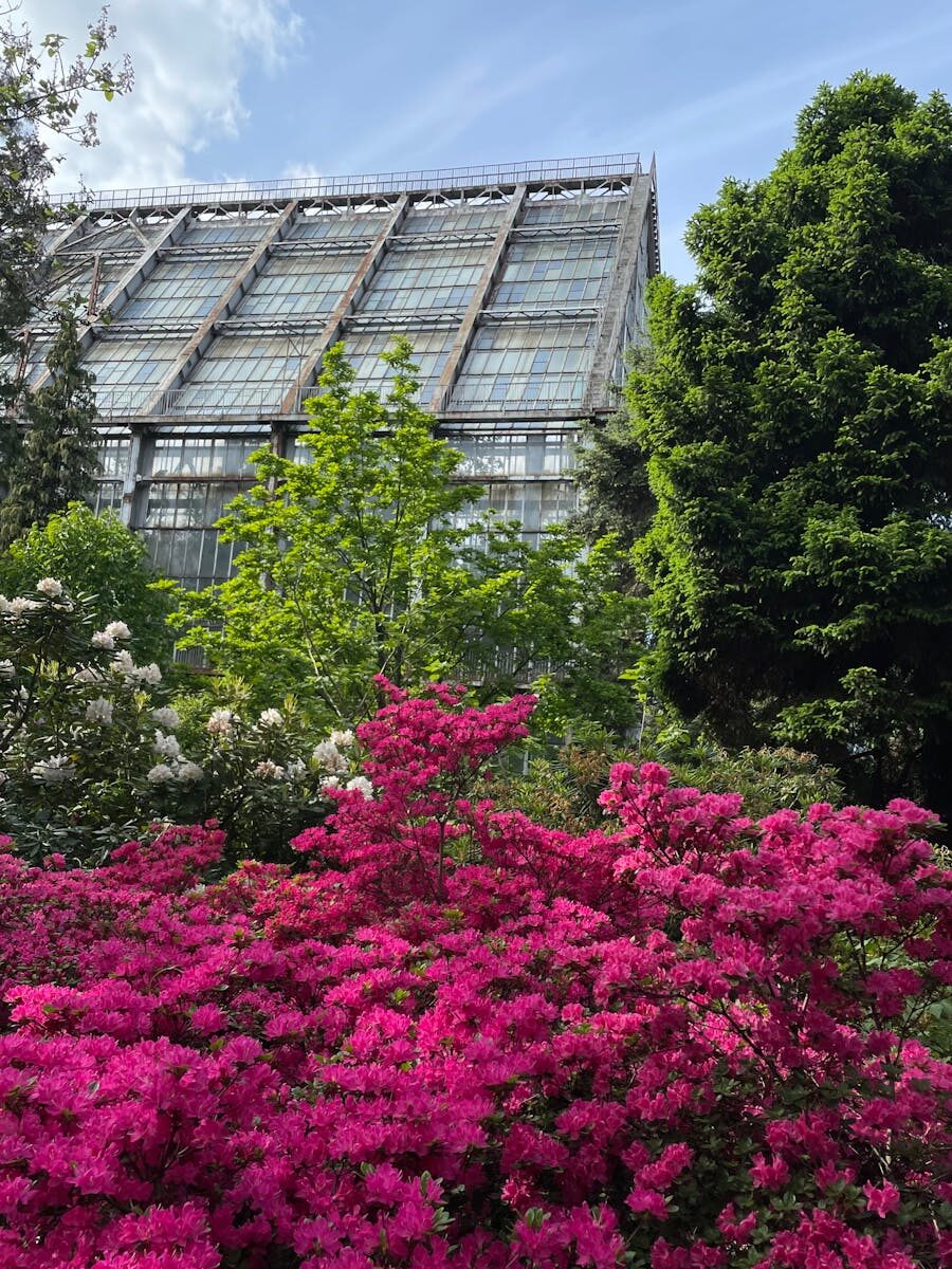 Environmental Justice & Waste