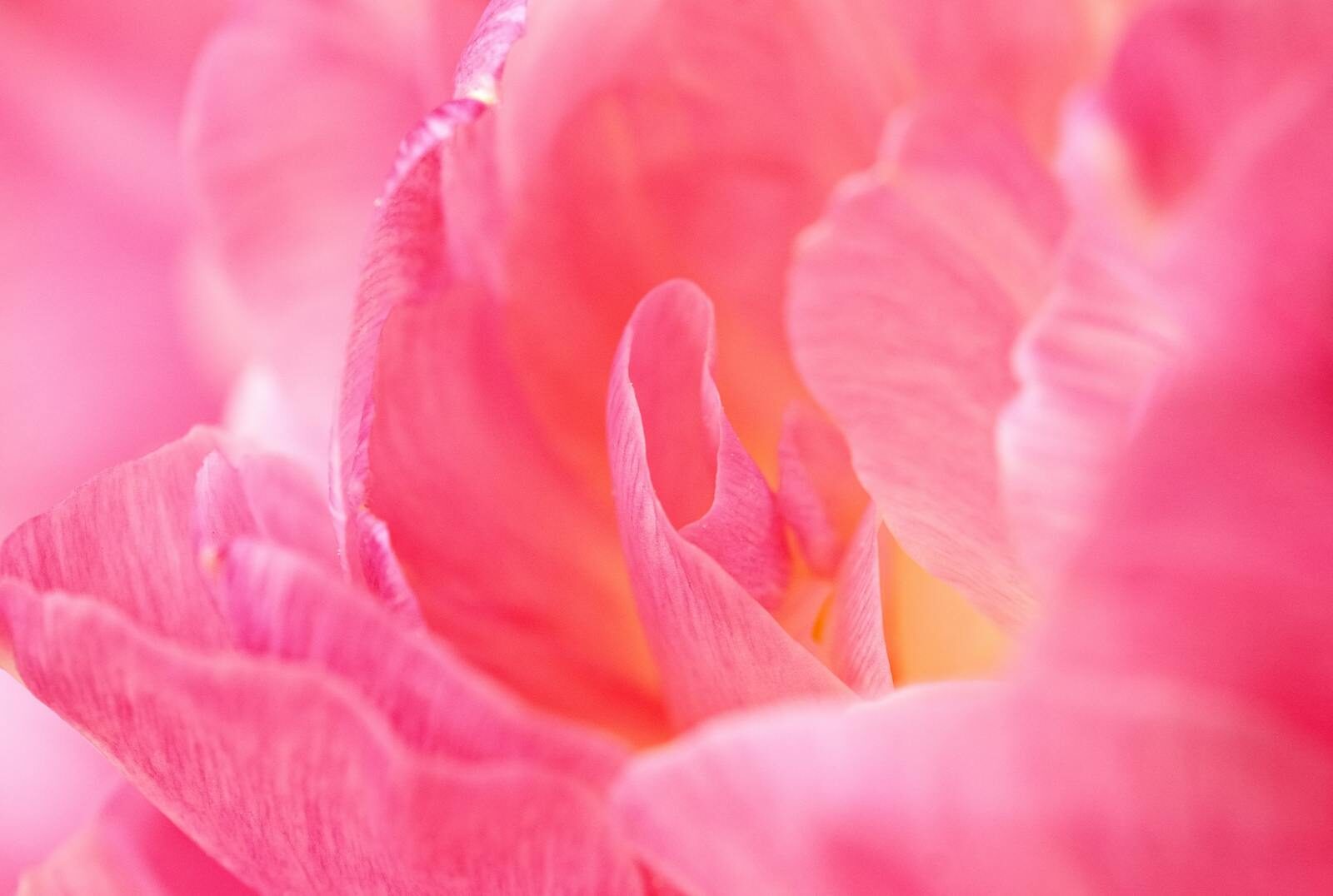 UST Insurance & Liability